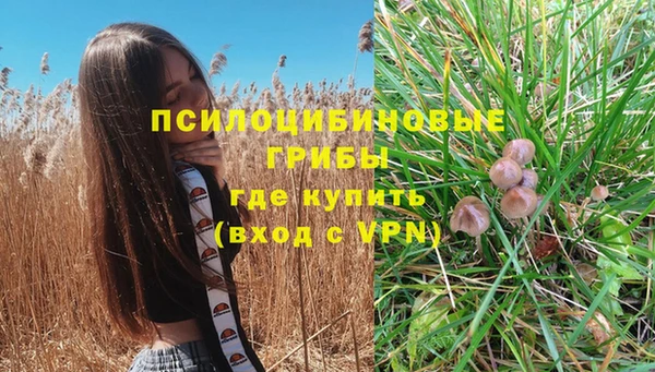 молекула духа Армянск