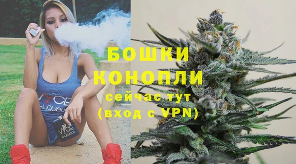 гашик Аркадак