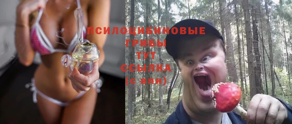 молекула духа Армянск