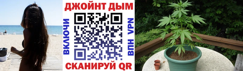 купить наркоту  Карабаново  Бошки Шишки ГИДРОПОН 